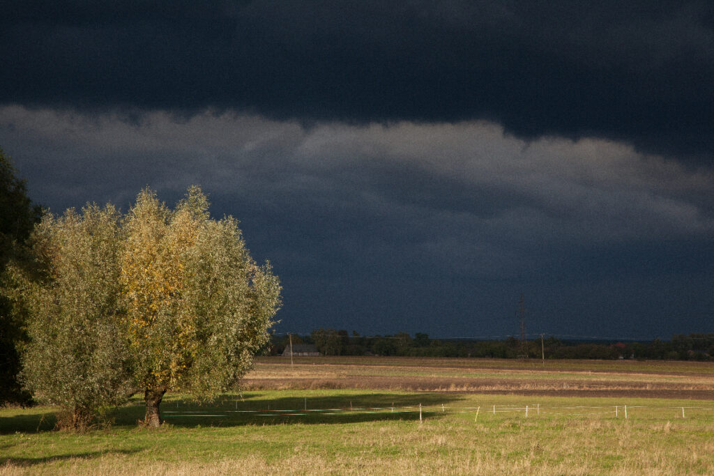 przed burzą na Mazowszu, zdjęcie Marek Englisz