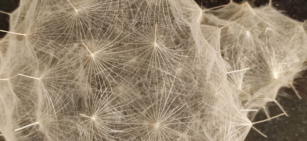 Konrad Juściński/Poland: "Untouchable" detal, 2023, 60 x 60cm Textile art Untouchable detal, autor Konrad Juściński